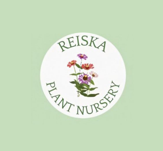 Reiska Plant Nursery Image 1