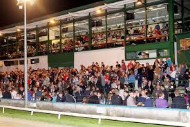 Thurles Greyhound Racing Featured Image